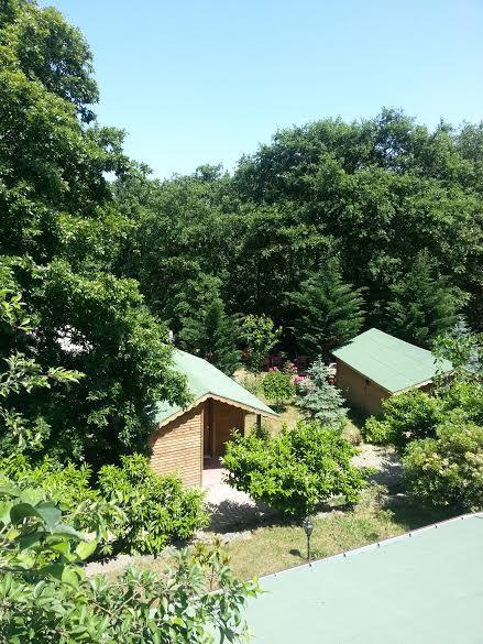 Cumhuriyet Green House Garden Park Hotel מראה חיצוני תמונה
