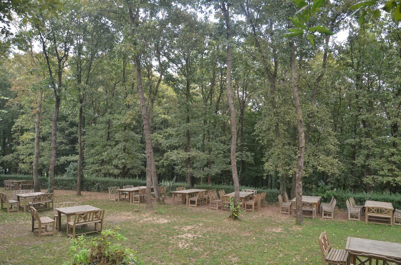 Cumhuriyet Green House Garden Park Hotel מראה חיצוני תמונה
